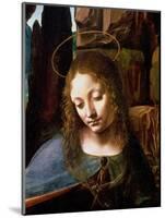 The Virgin of the Rocks (The Virgin with the Infant Saint John Adoring the Infant Christ )-Leonardo da Vinci-Mounted Premium Giclee Print