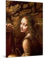 The Virgin of the Rocks (The Virgin with the Infant St. John Adoring the Infant Christ)-Leonardo da Vinci-Mounted Giclee Print