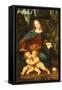 The Virgin of the Rocks-Bernardino de' Conti-Framed Stretched Canvas