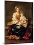 The Virgin of the Rosary-Bartolome Esteban Murillo-Mounted Giclee Print