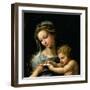 The Virgin of the Rose, circa 1518-Raphael-Framed Giclee Print