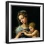 The Virgin of the Rose, circa 1518-Raphael-Framed Giclee Print