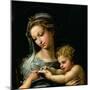 The Virgin of the Rose, circa 1518-Raphael-Mounted Giclee Print