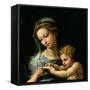 The Virgin of the Rose, circa 1518-Raphael-Framed Stretched Canvas