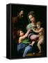 The Virgin of the Rose, circa 1518-Raphael-Framed Stretched Canvas