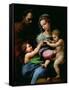 The Virgin of the Rose, circa 1518-Raphael-Framed Stretched Canvas