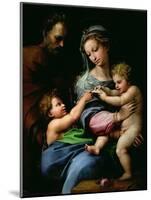 The Virgin of the Rose, circa 1518-Raphael-Mounted Giclee Print