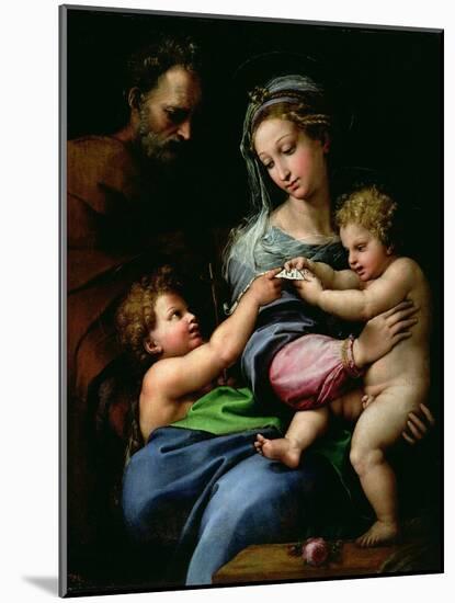 The Virgin of the Rose, circa 1518-Raphael-Mounted Giclee Print