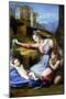 The Virgin of the Veil, Early 16th Century-Raphael-Mounted Giclee Print