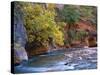 The Virgin River Flows Through the Narrows, Zion National Park, Utah, Usa-Dennis Flaherty-Stretched Canvas