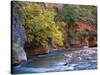 The Virgin River Flows Through the Narrows, Zion National Park, Utah, Usa-Dennis Flaherty-Stretched Canvas