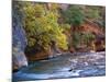 The Virgin River Flows Through the Narrows, Zion National Park, Utah, Usa-Dennis Flaherty-Mounted Photographic Print