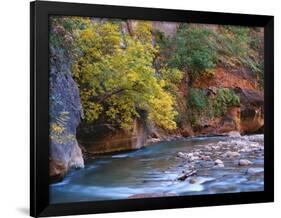 The Virgin River Flows Through the Narrows, Zion National Park, Utah, Usa-Dennis Flaherty-Framed Photographic Print