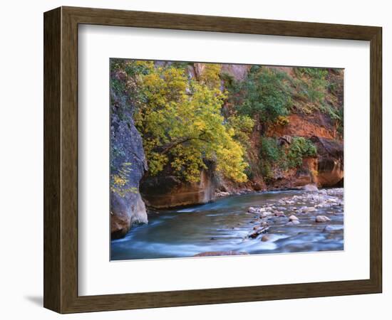 The Virgin River Flows Through the Narrows, Zion National Park, Utah, Usa-Dennis Flaherty-Framed Photographic Print