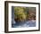 The Virgin River Flows Through the Narrows, Zion National Park, Utah, Usa-Dennis Flaherty-Framed Photographic Print