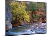 The Virgin River Flows Through the Narrows, Zion National Park, Utah, Usa-Dennis Flaherty-Mounted Photographic Print