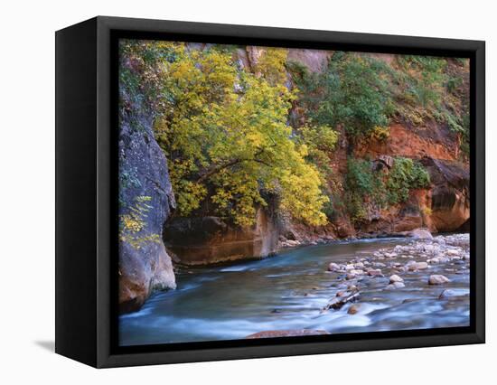 The Virgin River Flows Through the Narrows, Zion National Park, Utah, Usa-Dennis Flaherty-Framed Stretched Canvas