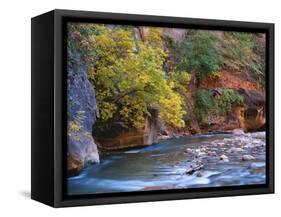 The Virgin River Flows Through the Narrows, Zion National Park, Utah, Usa-Dennis Flaherty-Framed Stretched Canvas