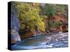 The Virgin River Flows Through the Narrows, Zion National Park, Utah, Usa-Dennis Flaherty-Stretched Canvas