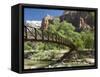 The Virgin River, Foot Bridge to Access the Emerald Pools, Zion National Park, Utah, United States -Richard Maschmeyer-Framed Stretched Canvas
