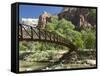 The Virgin River, Foot Bridge to Access the Emerald Pools, Zion National Park, Utah, United States -Richard Maschmeyer-Framed Stretched Canvas