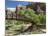 The Virgin River, Foot Bridge to Access the Emerald Pools, Zion National Park, Utah, United States -Richard Maschmeyer-Mounted Photographic Print