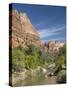 The Virgin River, Zion National Park, Utah, United States of America, North America-Richard Maschmeyer-Stretched Canvas