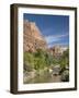 The Virgin River, Zion National Park, Utah, United States of America, North America-Richard Maschmeyer-Framed Photographic Print