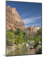 The Virgin River, Zion National Park, Utah, United States of America, North America-Richard Maschmeyer-Mounted Photographic Print