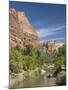 The Virgin River, Zion National Park, Utah, United States of America, North America-Richard Maschmeyer-Mounted Photographic Print