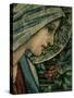 The Virgin's Face, Detail from the Adoration of the Magi, William Morris and Co. Merton Abbey-Burne-Jones & Morris-Stretched Canvas