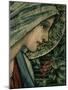 The Virgin's Face, Detail from the Adoration of the Magi, William Morris and Co. Merton Abbey-Burne-Jones & Morris-Mounted Giclee Print