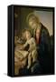 The Virgin Teaching the Infant Jesus to Read-Sandro Botticelli-Framed Stretched Canvas