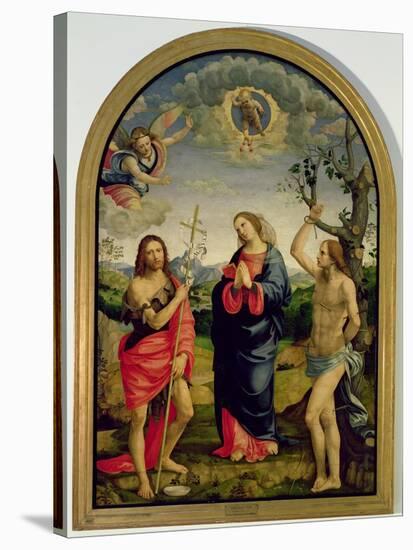 The Virgin with Saints Sebastian and John the Baptist-Timoteo Viti-Stretched Canvas