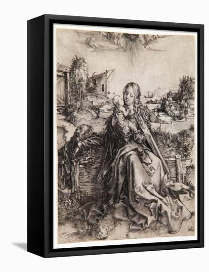 The Virgin with the Butterfly, C.1495-Albrecht Dürer-Framed Stretched Canvas