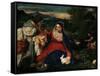 The Virgin with the Rabbit-Titian (Tiziano Vecelli)-Framed Stretched Canvas