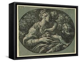 The Virgin-Parmigianino-Framed Stretched Canvas