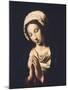 The Virgin-Giovanni Battista Salvi da Sassoferrato-Mounted Giclee Print