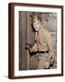 Brown Frame