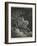 The Vision of Death on a Pale Horse-Gustave Doré-Framed Photographic Print