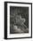 The Vision of Death on a Pale Horse-Gustave Doré-Framed Photographic Print