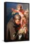 The Vision of Saint Anthony of Padua C.1730-Giovanni Battista Pittoni-Framed Stretched Canvas