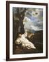 The Vision of Saint Bruno-Pier Francesco Mola-Framed Giclee Print