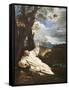 The Vision of Saint Bruno-Pier Francesco Mola-Framed Stretched Canvas