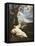 The Vision of Saint Bruno-Pier Francesco Mola-Framed Stretched Canvas