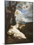 The Vision of Saint Bruno-Pier Francesco Mola-Mounted Giclee Print