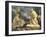 The Vision of St Bruno, 1647-Giovanni Francesco Barbieri-Framed Giclee Print