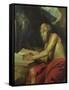 The Vision of St. Jerome-Juan Martin Cabezalero-Framed Stretched Canvas