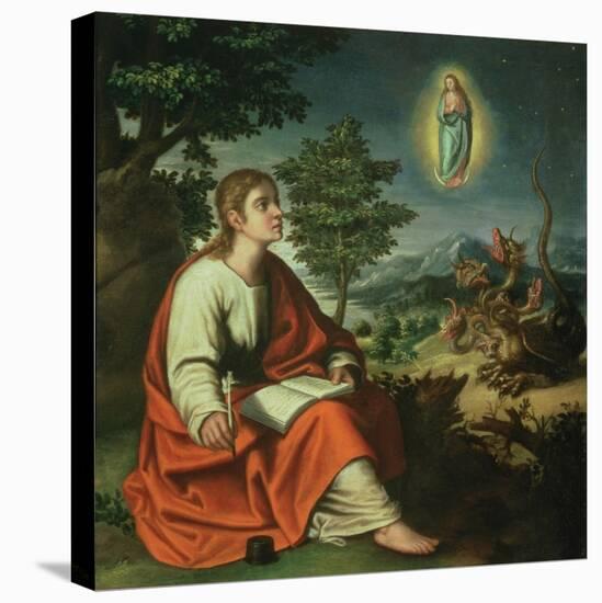 The Vision of St. John the Evangelist on Patmos-Juan Sanchez Cotan-Stretched Canvas