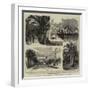 The Visit of the Prince of Wales to Cannes and Nice-null-Framed Giclee Print